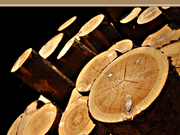 Lumber Packaging | Lumber Wrap | Lumber Protection